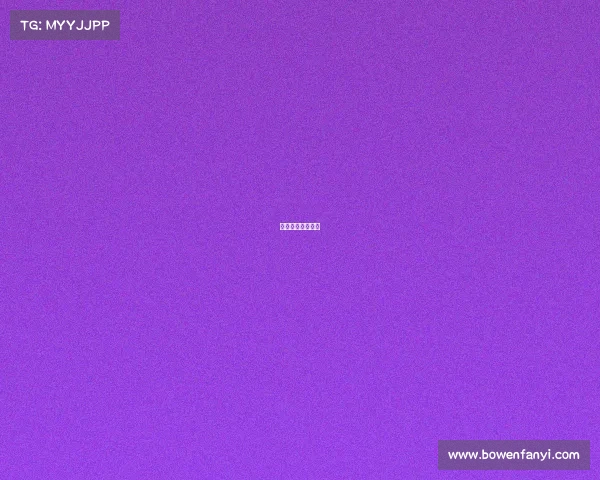 体育赛事安全方案